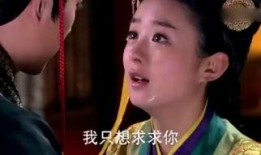 陆贞传奇免费观看全集在线观看,揭秘古代才女传奇人生