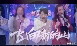 荔枝娱乐爆料事件真相揭秘,揭秘背后真相与内幕