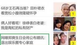 娱乐圈爆料模板大全最新,揭秘明星背后的惊人真相！