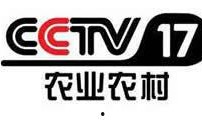 cctv八在线直播观看,精彩剧集不间断，尽享视听盛宴