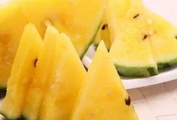 吃瓜网在线吃瓜免费,在线免费吃瓜，畅享娱乐盛宴