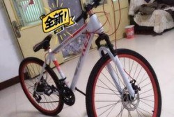 安阳自行车爆料事件视频,真相与争议的交织