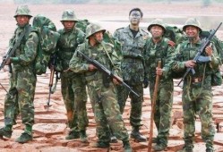 在线观看士兵突击,军旅青春的蜕变与成长
