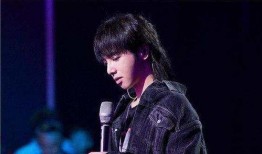 吃瓜娱乐华晨宇是谁,吃瓜娱乐界的音乐奇才