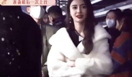 爆料杨颖酒吧视频播放,揭秘明星夜生活一面