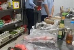 北海饭店爆料事件视频,揭露行业潜规则