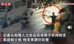 济南大鹰爆料事件视频最新,真相揭秘，网络舆论漩涡中的是非曲直